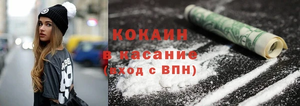 индика Балахна