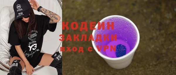 индика Балахна