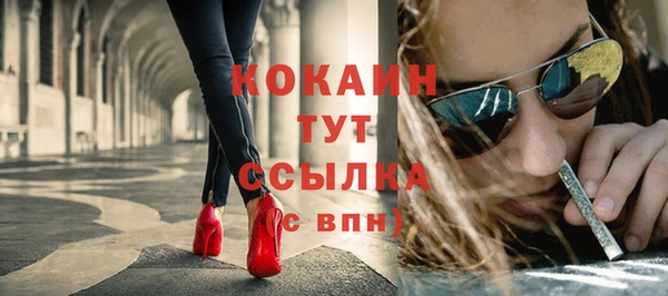 индика Балахна