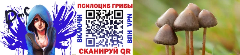 дарнет шоп  Велиж  Галлюциногенные грибы ЛСД 